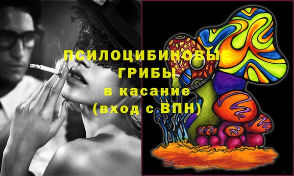 ALPHA PVP Беломорск