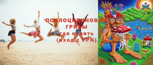 ГАЛЛЮЦИНОГЕННЫЕ ГРИБЫ Белокуриха