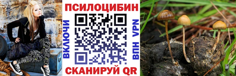Псилоцибиновые грибы GOLDEN TEACHER  Жуковка 